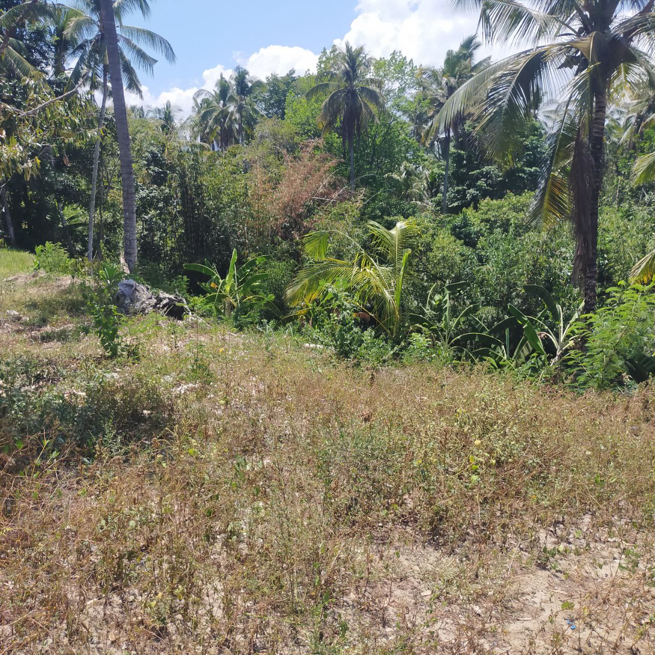 Tanah Kosong